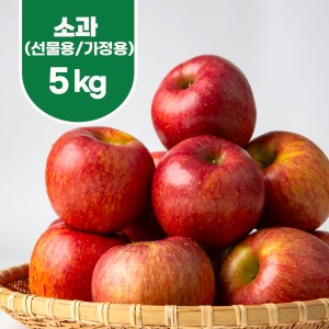 건강가득 제철과일 문경부사 5kg 소과(가정용:20~21과)